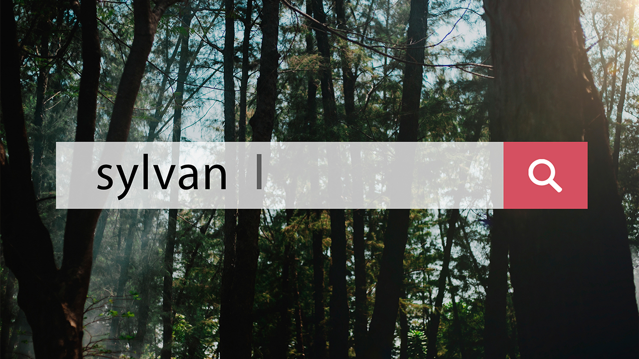 The Dos and Don’ts of Navigation Design for Websites
